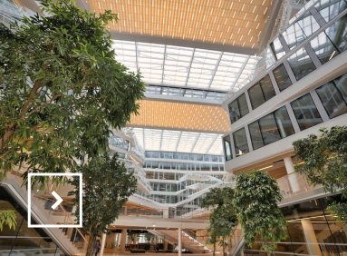 Nous observons un bâtiment écologique, blanc, lumineux et avec en son sein des arbres.